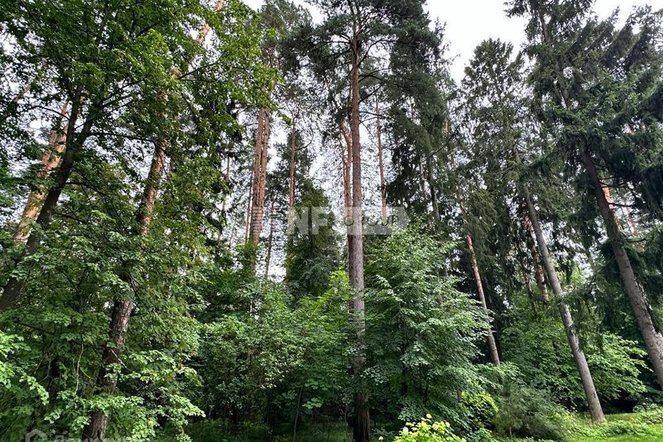 земля городской округ Одинцовский г Звенигород территория Санаторий Поречье фото 4