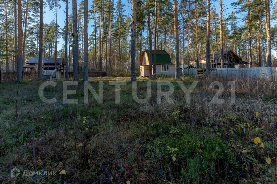 земля р-н Гатчинский п Вырица ул Владимирская 35 Вырицкое городское поселение фото 10