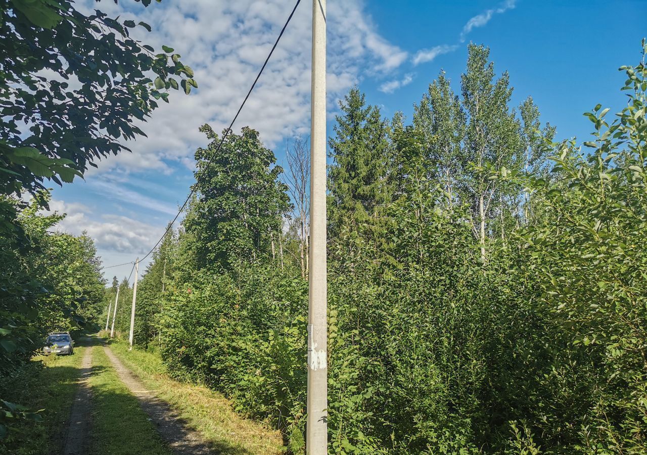 земля р-н Тосненский г Любань Московское шоссе, 9807 км, Лисинское сельское поселение, товарищество собственников недвижимости Надежда, 488 фото 5