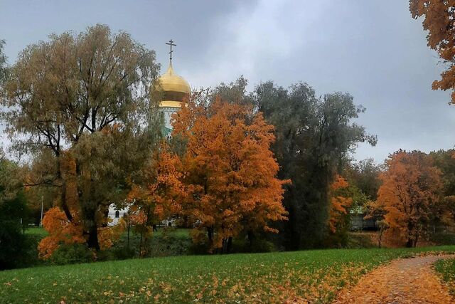 пр-кт Академический 10 Пушкинский фото