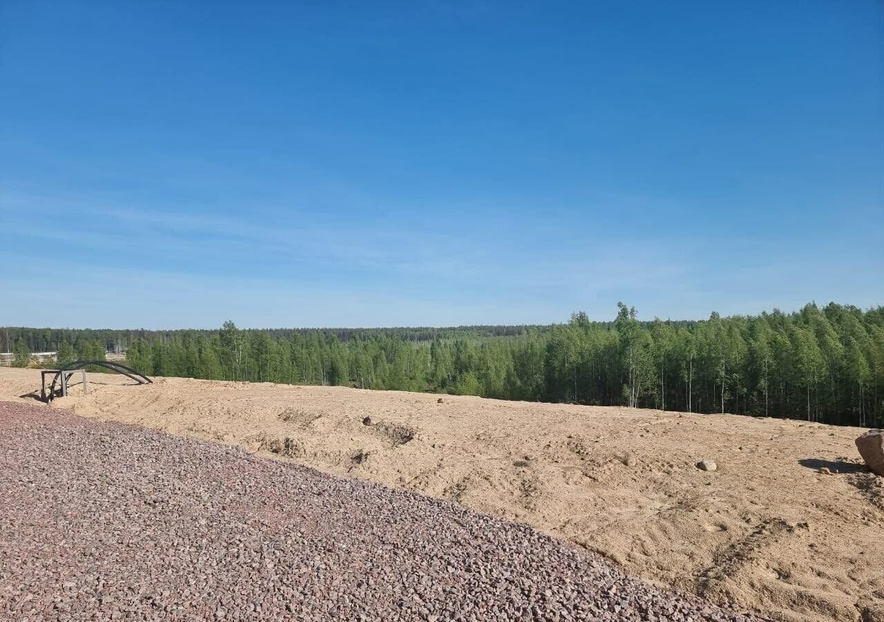 земля р-н Всеволожский д Колтуши Мурманское шоссе, 10 км, Колтушское городское поселение, коттеджный пос. Кирполье фото 1