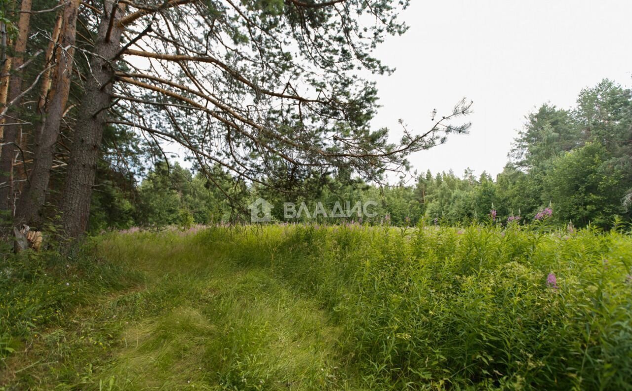 земля р-н Пряжинский д Курмойла Эссойльское сельское поселение, Пряжа фото 5