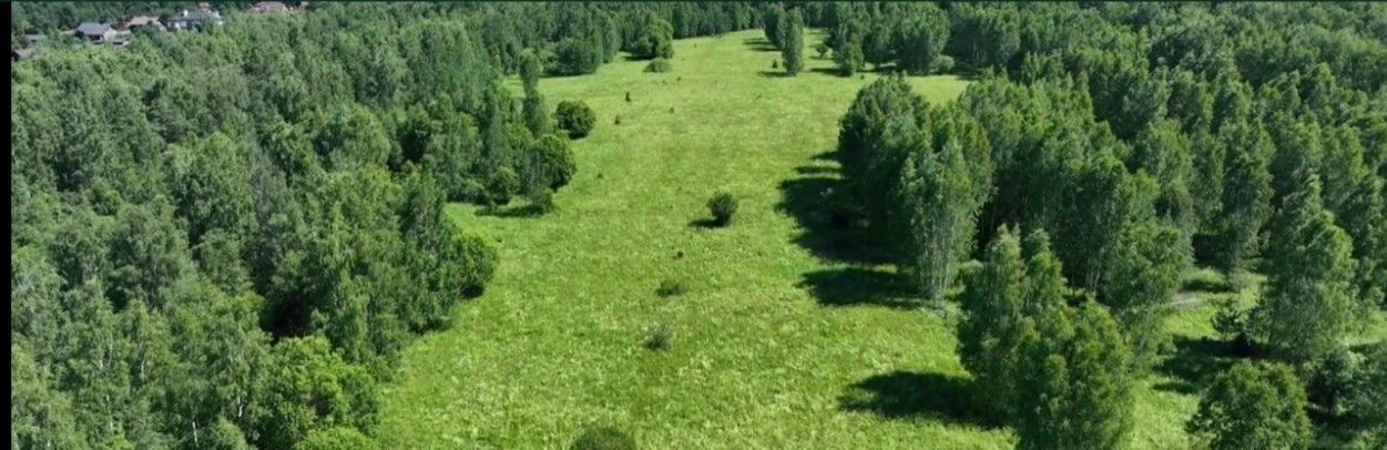 земля городской округ Раменский д Минино ул Центральная Раменское фото 1