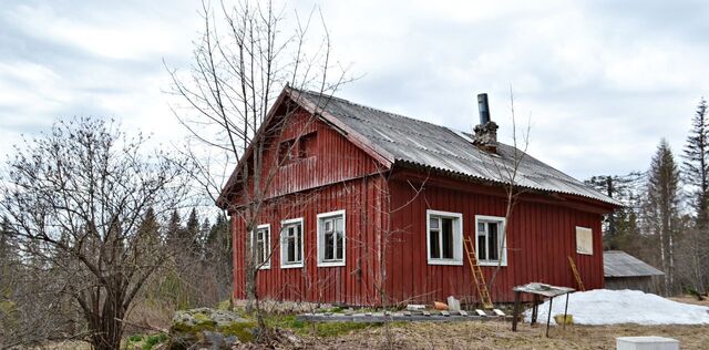 Сортавальский район, Кааламское с/пос, Урочище Хотинхови тер фото