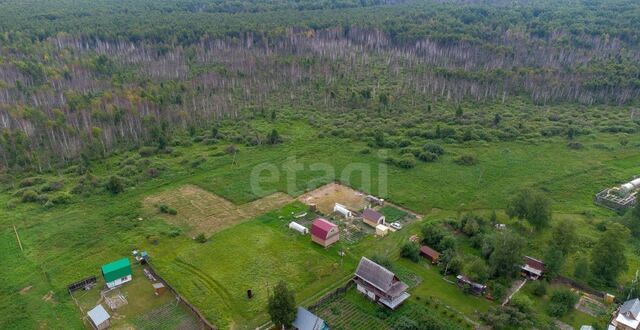 г Тюмень р-н Ленинский территория СОСН Сирень фото