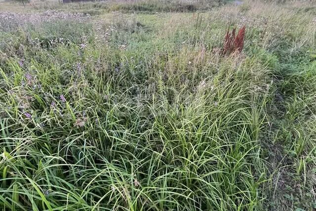 Златоустовский городской округ, Юго-Восточный планировочный район фото