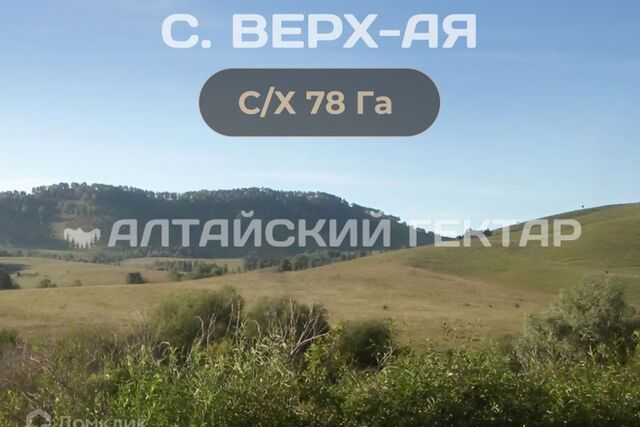 р-н Алтайский село Верх-Ая фото