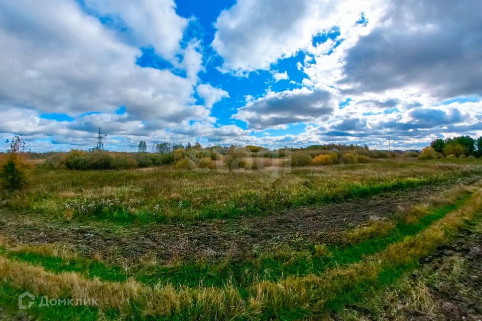 земля р-н Тюменский село Борки фото 1