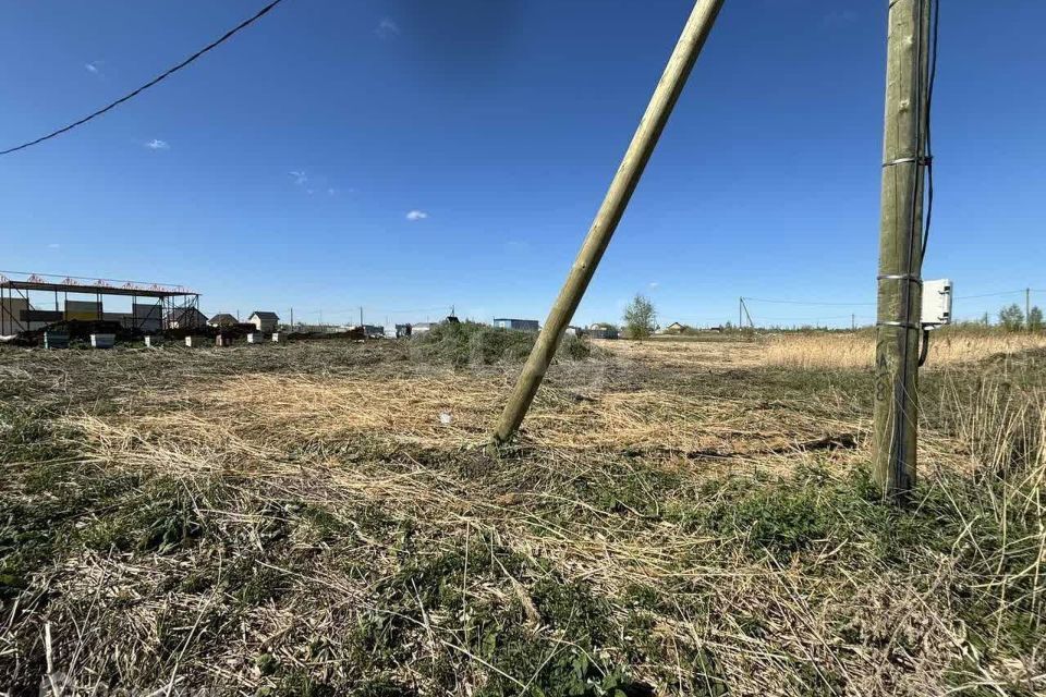 земля г Тюмень городской округ Тюмень, СНТ Большое Царёво-2 фото 3