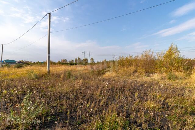 городской округ Тюмень фото