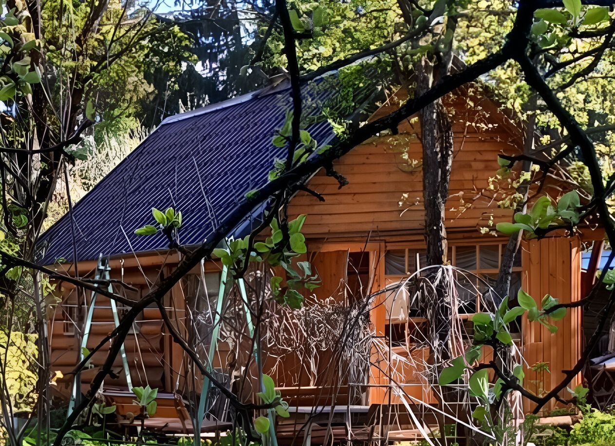 дом городской округ Солнечногорск д Глазово снт Вымпел ул. Северная фото 1