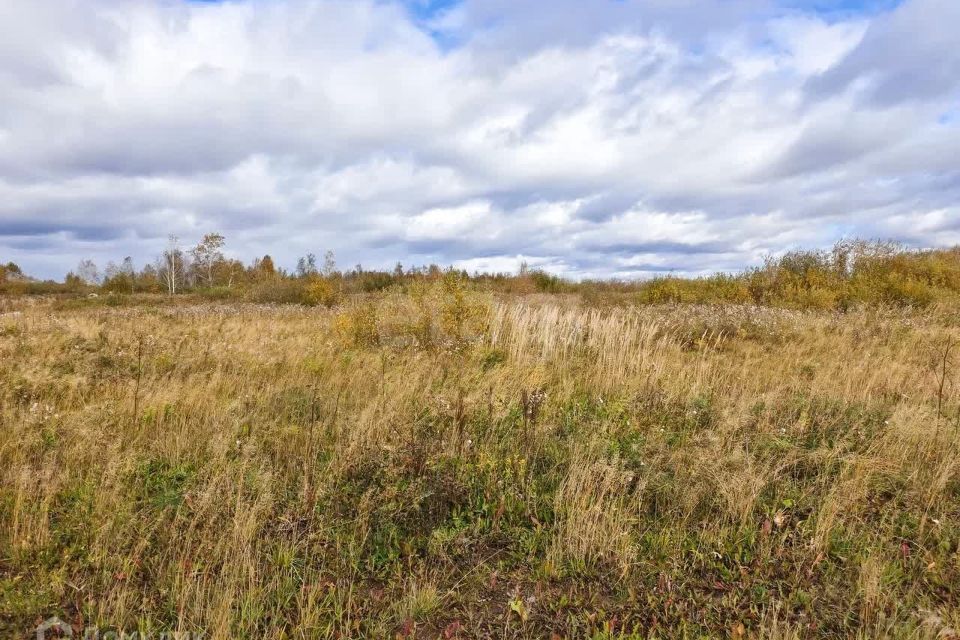 земля г Тюмень городской округ Тюмень, СО Царёво фото 5