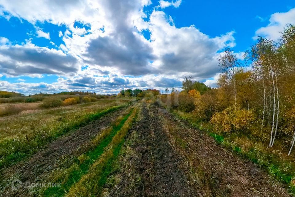 земля р-н Тюменский село Борки фото 5