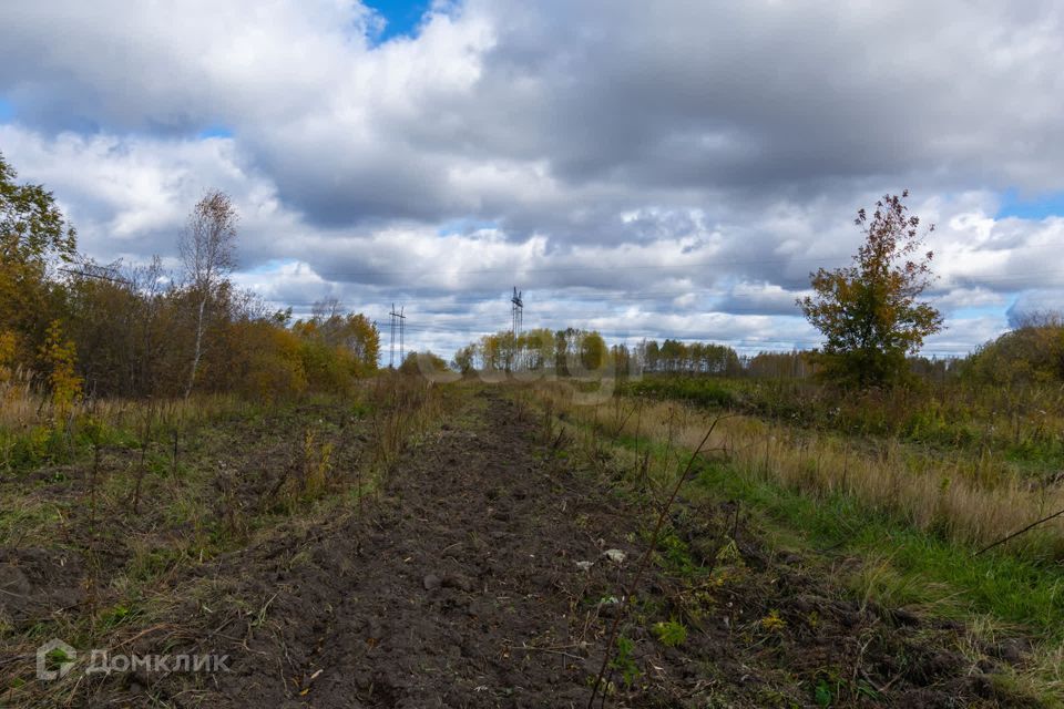 земля р-н Тюменский село Борки фото 9