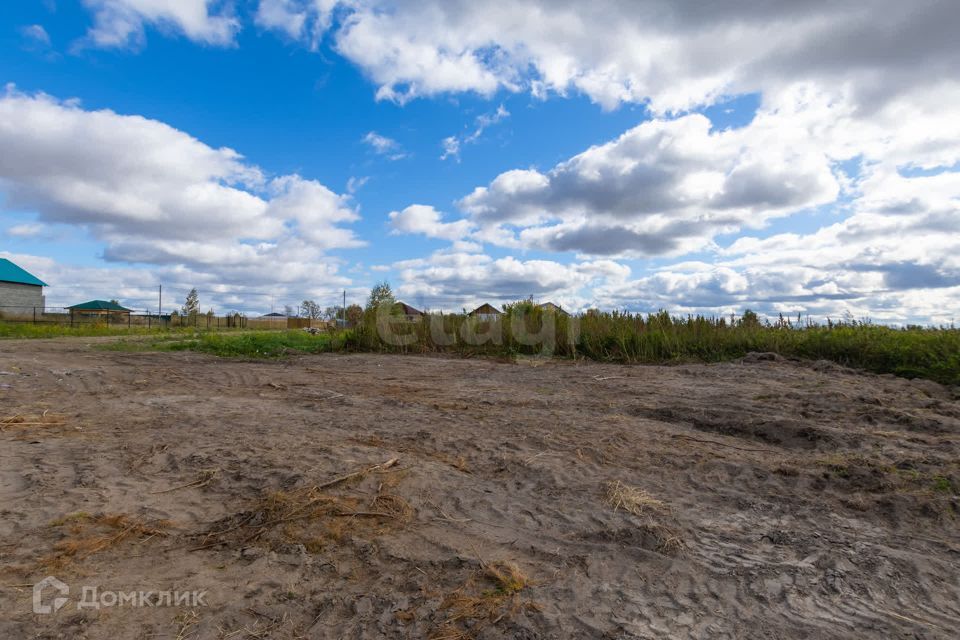 земля р-н Тюменский село Борки фото 7