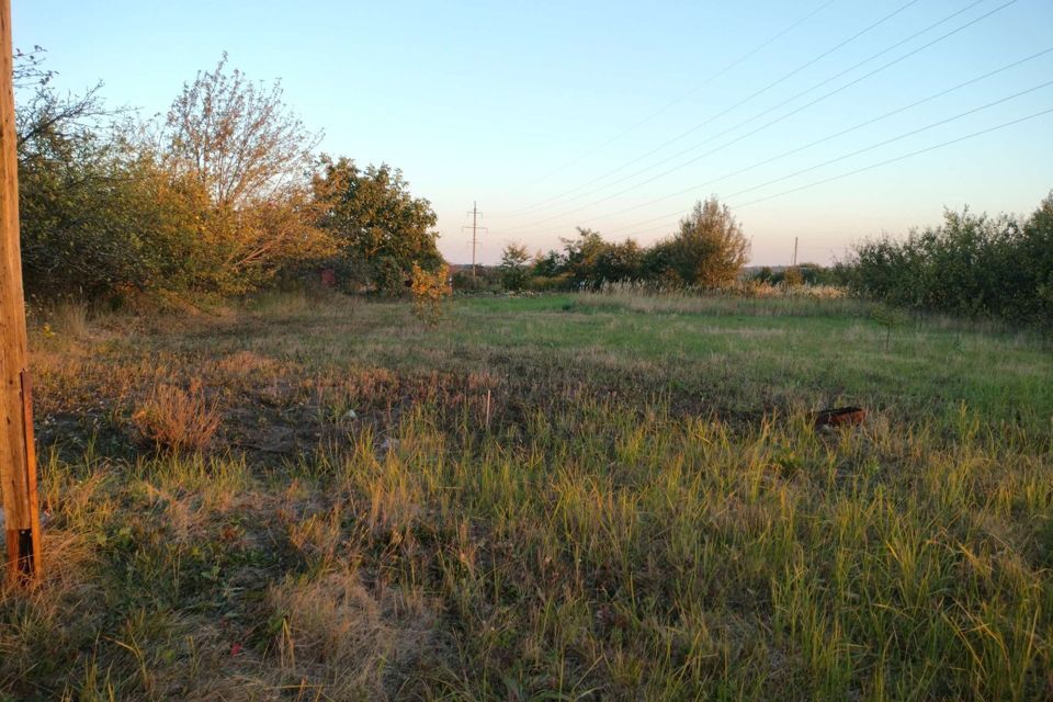 земля р-н Курский снт Рассвет 2 137/2 фото 5