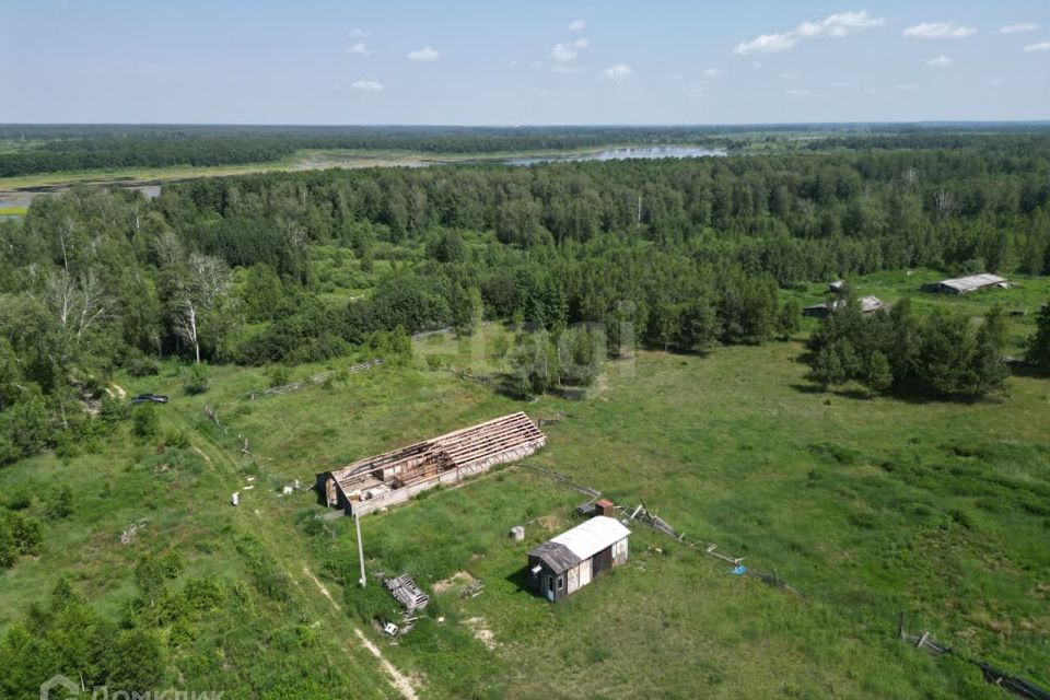 земля р-н Тюменский д Головина ул Озерная Онохинское сельское поселение фото 6