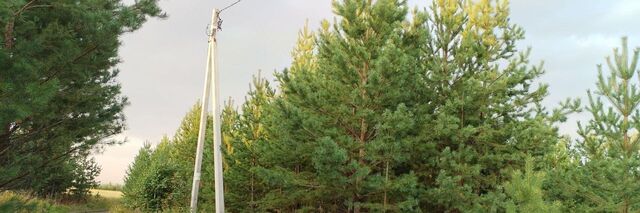 ул Горького 20 фото ул Горького 20 фото