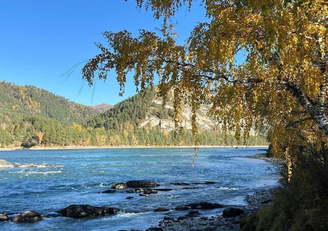 Горно-Алтайск фото