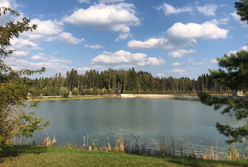 квартира Лесной Городок, коттеджный посёлок Азарово Северное, Сиреневая улица, 6, деревня Семёнково фото 25