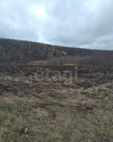 земля ул Трудовая Атемар фото