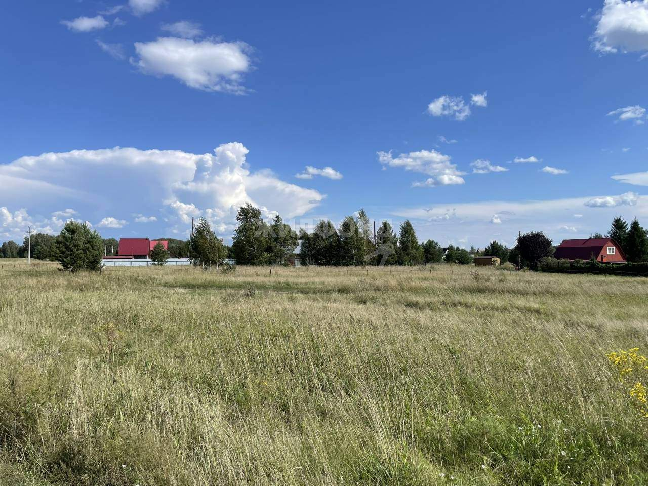 земля р-н Ордынский рп Ордынское тер НСТ Виктория фото 3