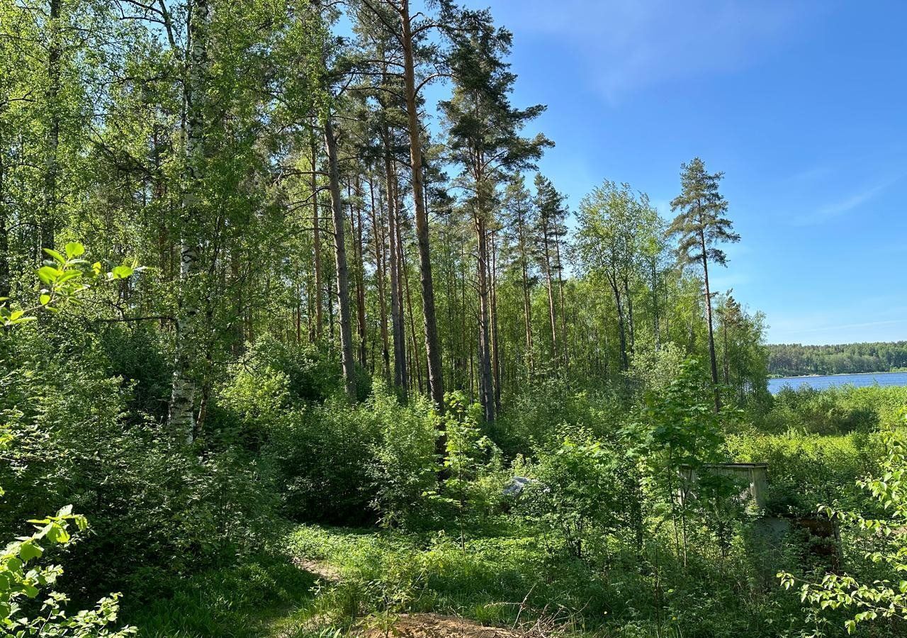 земля р-н Всеволожский д Васкелово Трасса Сортавала, 9755 км, Куйвозовское сельское поселение фото 1