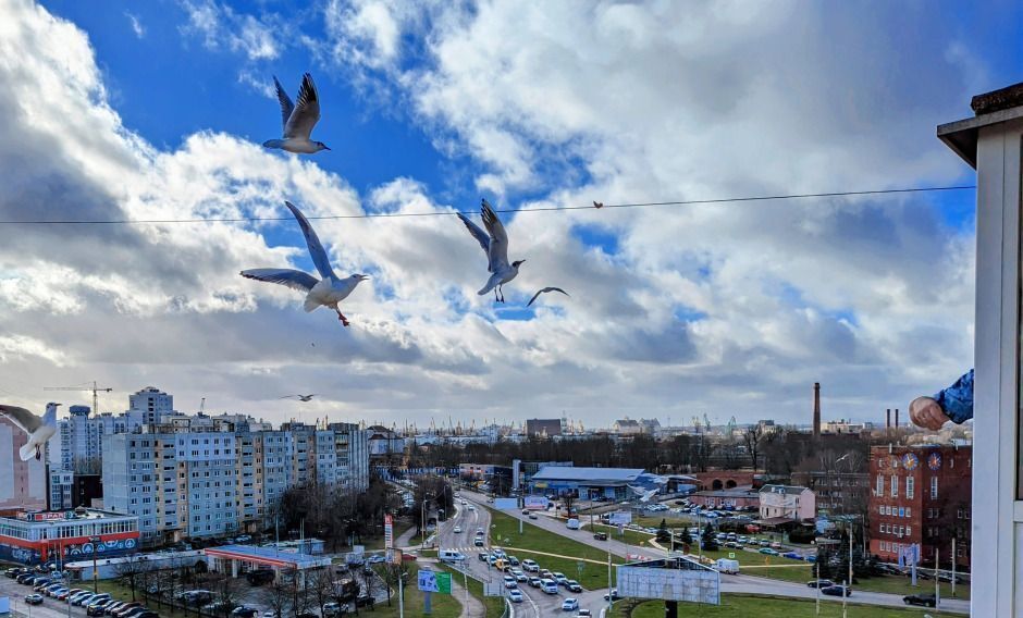 квартира г Калининград р-н Ленинградский пр-кт Московский 9 фото 14