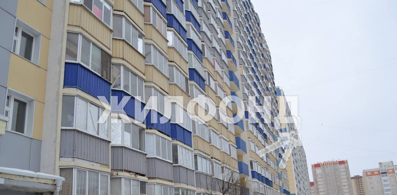 квартира г Новосибирск ул Виктора Уса 9 Площадь Маркса фото 11