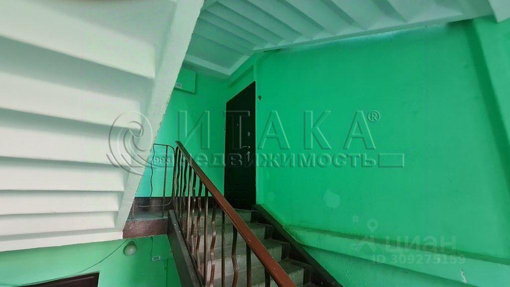 квартира г Санкт-Петербург р-н Невский Троицкое поле пер 2-й Рабфаковский 8 Ленинградская область фото 25
