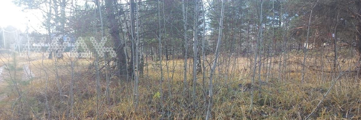 земля г Нижний Новгород п Березовая Пойма ул Механизаторов Бурнаковская фото 5