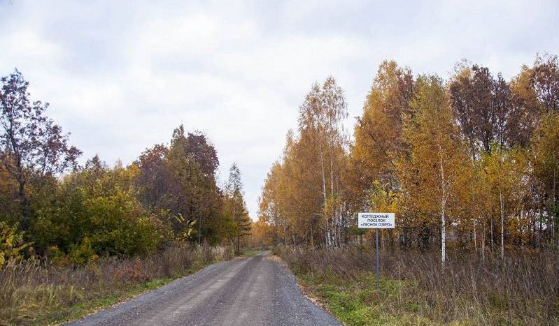 земля р-н Зеленодольский Республика Татарстан Татарстан, Большекургузинское сельское поселение, Казань фото 13