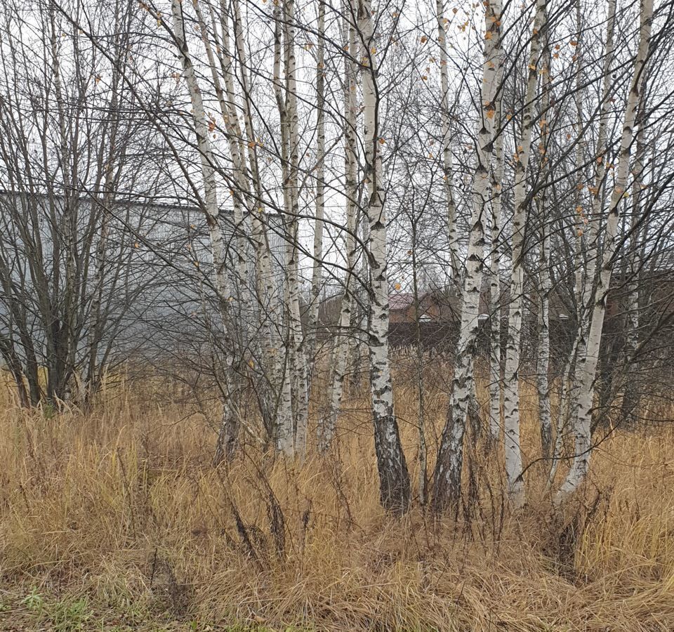 земля городской округ Богородский с Новосергиево 49 км, массив дачной застройки Новосергиевский, Черноголовка, Щёлковское шоссе фото 7