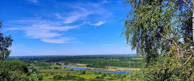 р-н Кстовский д Афонино фото