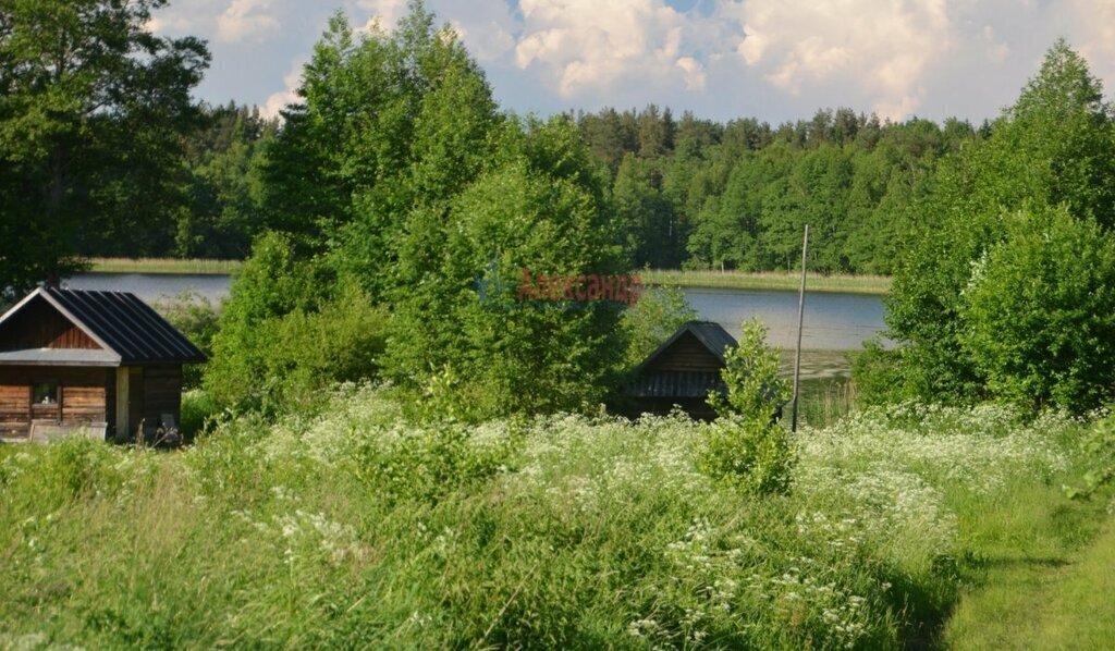 земля р-н Лужский д Островно Волошовское сельское поселение фото 1