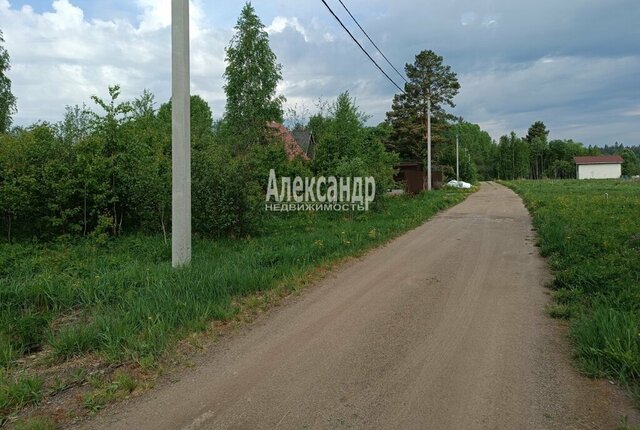 земля Кузнечнинское городское поселение, садоводческое товарищество Алмаз фото