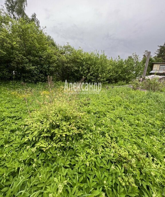 земля р-н Выборгский п Красная Долина Приморское городское поселение фото 11