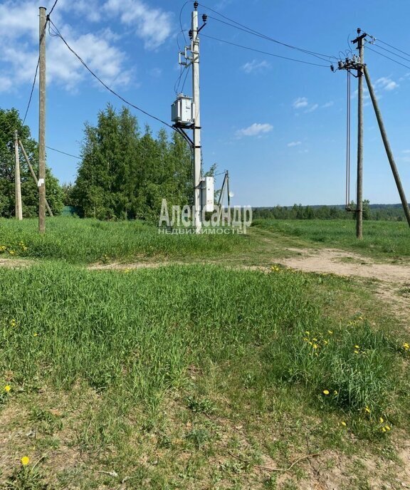 земля р-н Приозерский п Соловьевка Плодовское сельское поселение фото 7