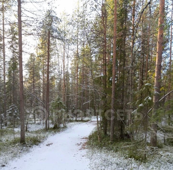 земля р-н Кандалакшский г Кандалакша ст снтСолнечный берег фото 19