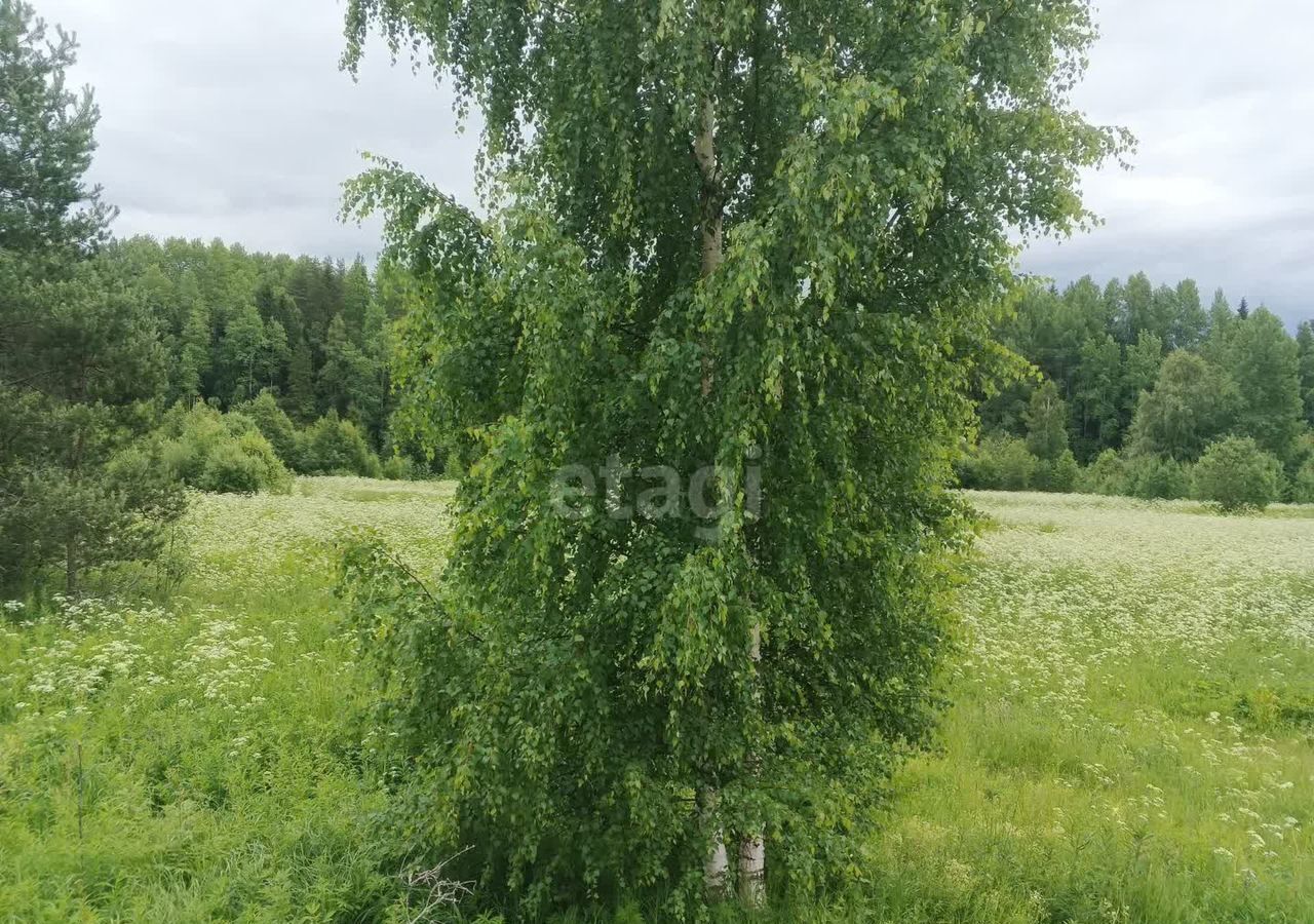 земля р-н Прионежский Ладва-Веткинское сельское поселение, Петрозаводск фото 3