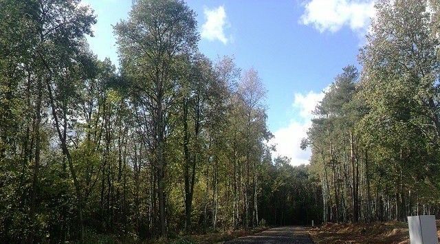 дом направление Ленинградское (северо-запад) ш Пятницкое Дачной застройки Бризе кв-л, Химки городской округ фото 24