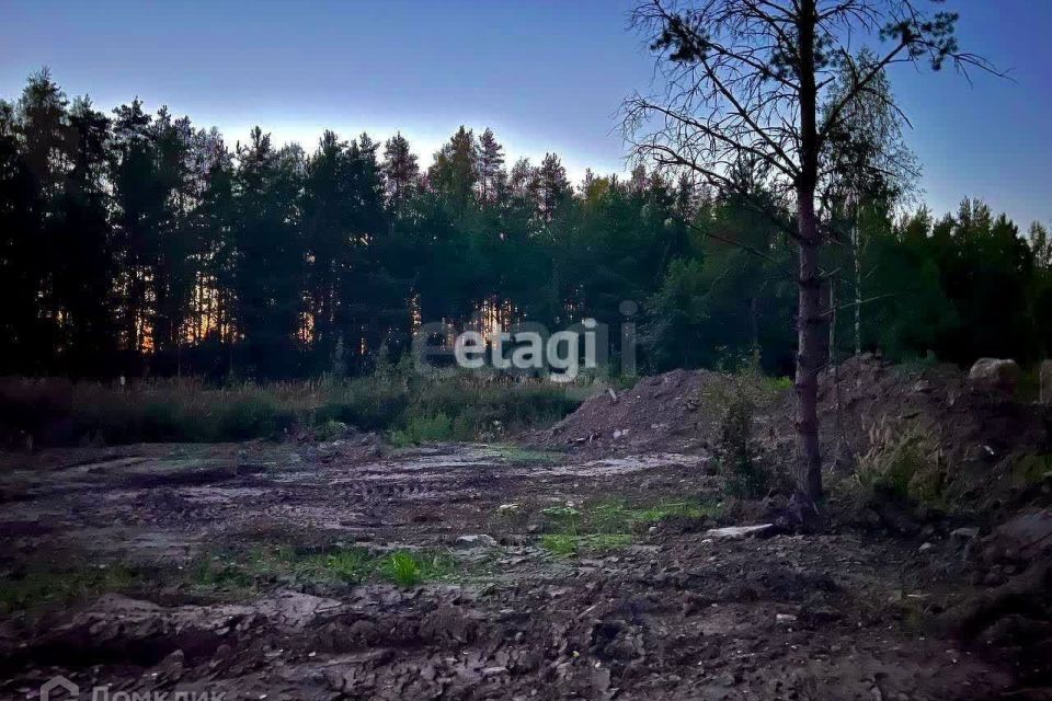 земля р-н Всеволожский г Всеволожск ул Камышовая 2 фото 4