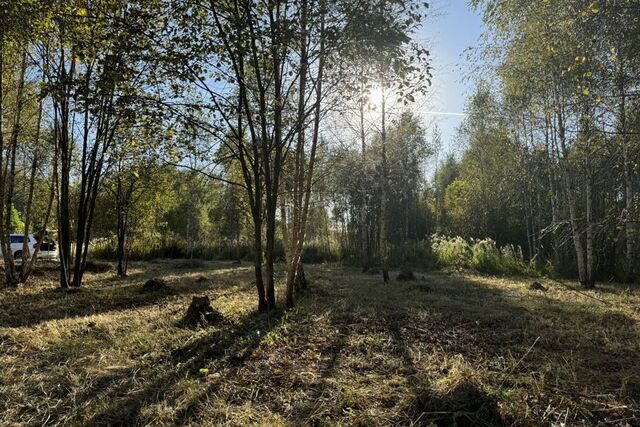 земля п государственного племенного завода "Константиново" Юсупово Village, Домодедово городской округ фото