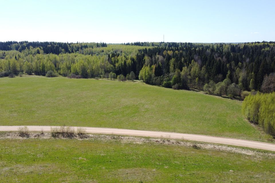 земля городской округ Дмитровский д. Малое Насоново фото 9