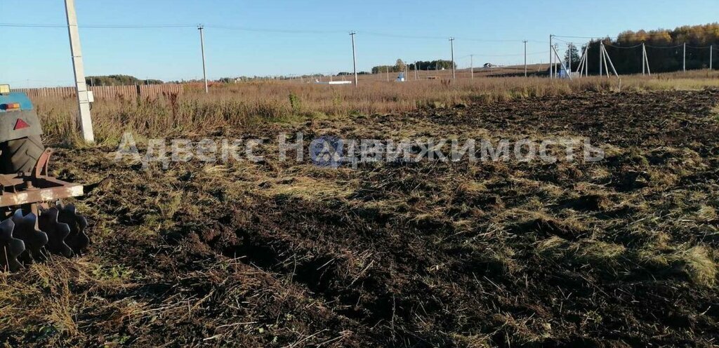 земля р-н Тюменский с Червишево Червишевское сельское поселение фото 2