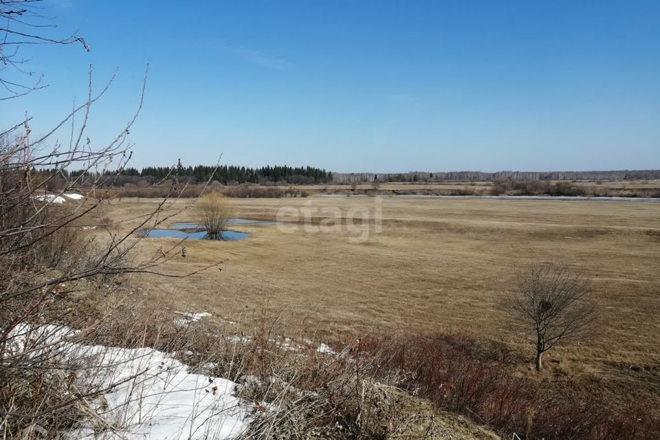 земля р-н Ирбитский д Кривая ул Центральная фото 8