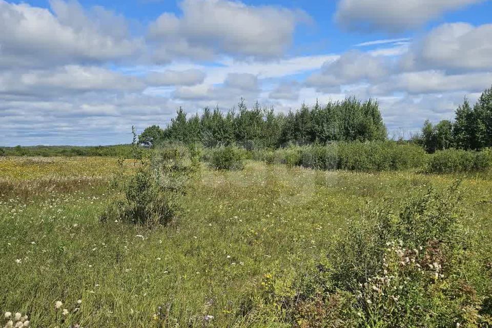 земля р-н Тюменский село Салаирка фото 6