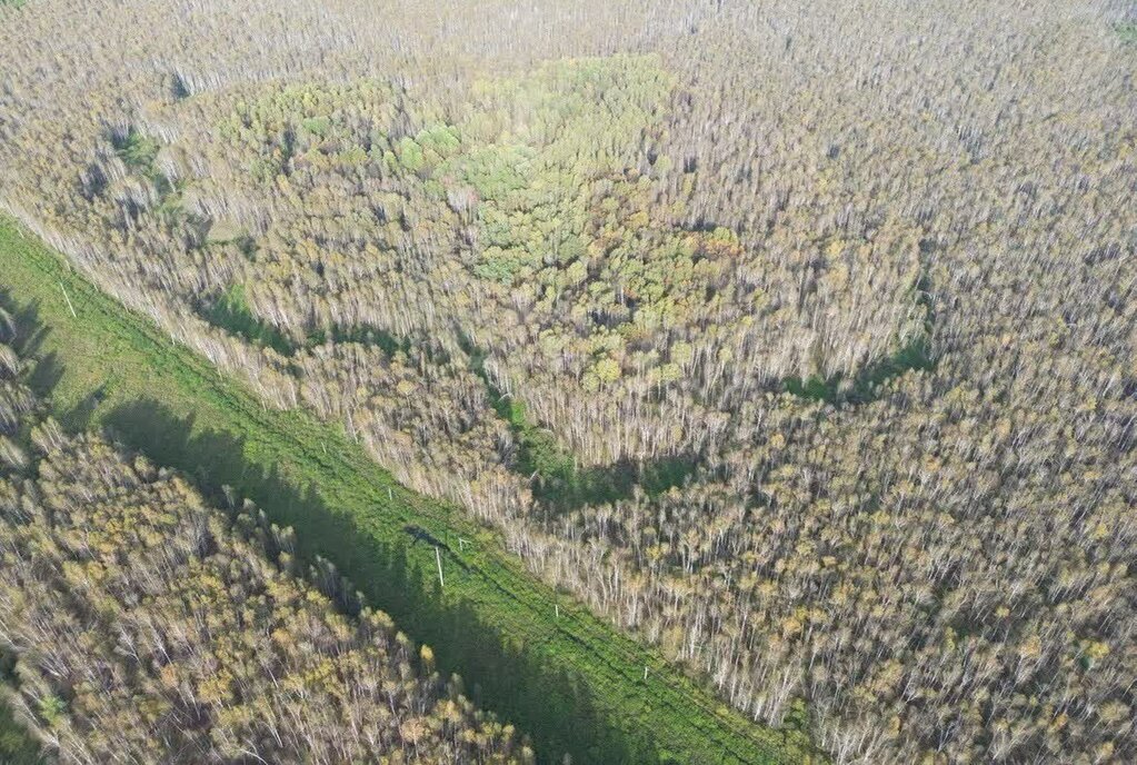 земля р-н Нижнетавдинский снт Сундукуль ул Малиновая фото 7