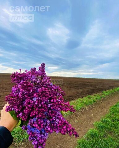 с Ивановка пер Уральский Ивановский сельсовет, Оренбург фото