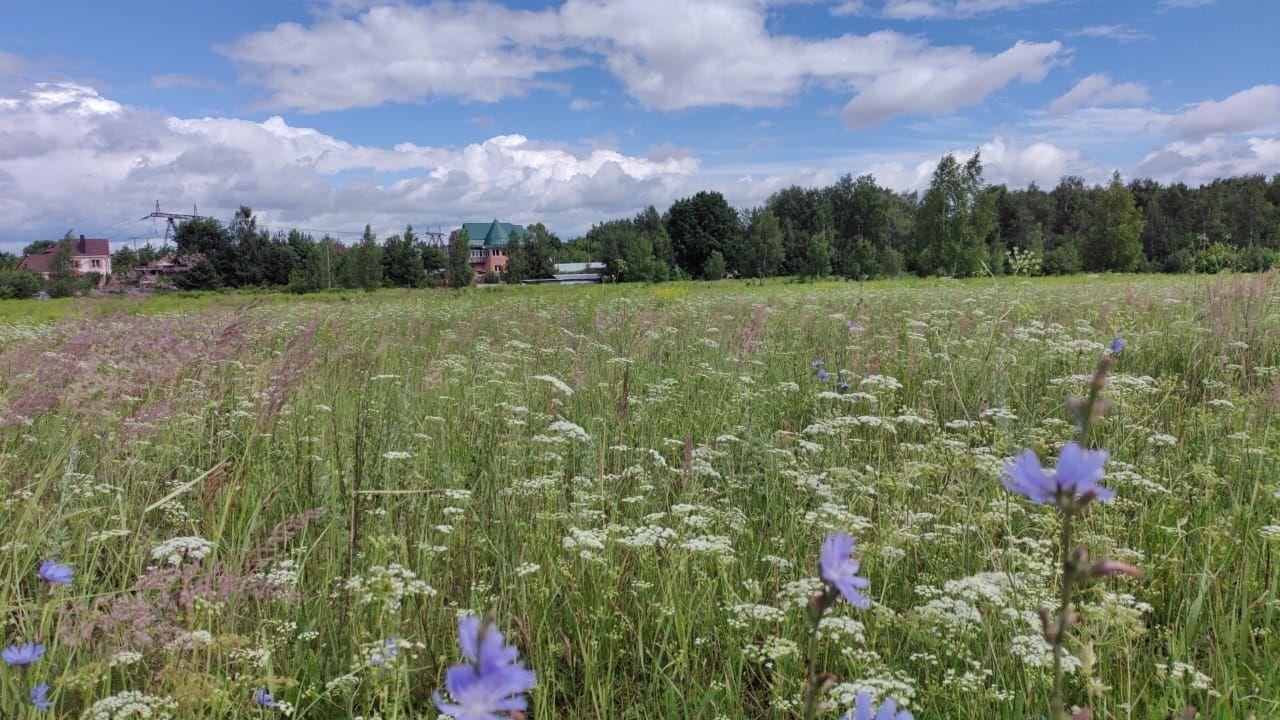 земля городской округ Домодедово Мирная улица фото 2